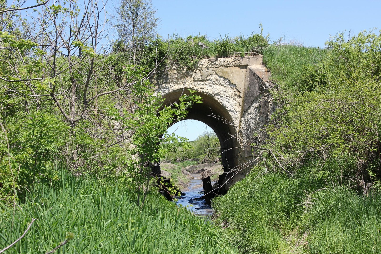 Image name